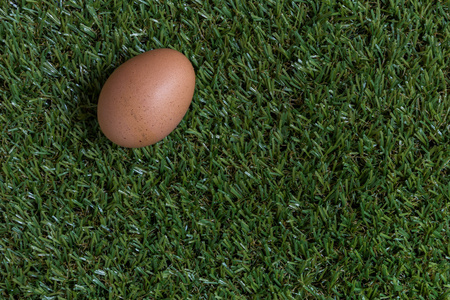 隔离的概念 一个鸡蛋躺在草地上