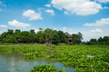 亚洲住宅生活方式在河畔