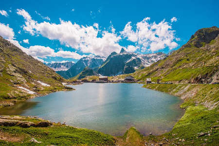 在夏天大圣伯纳德山口图片