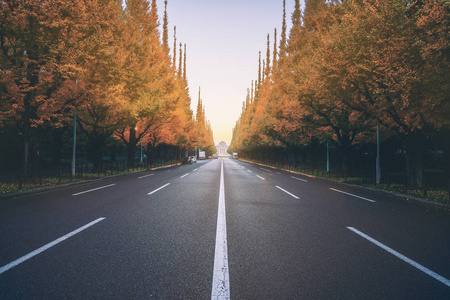 树木在秋天的 sideroad 条美丽的道路照片