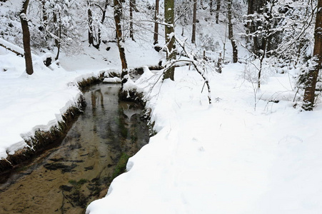 冬季景观的波希米亚瑞士