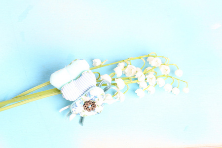 温柔蓝色背景布心铃兰选择性软焦点健美的照片爱树情人节照片