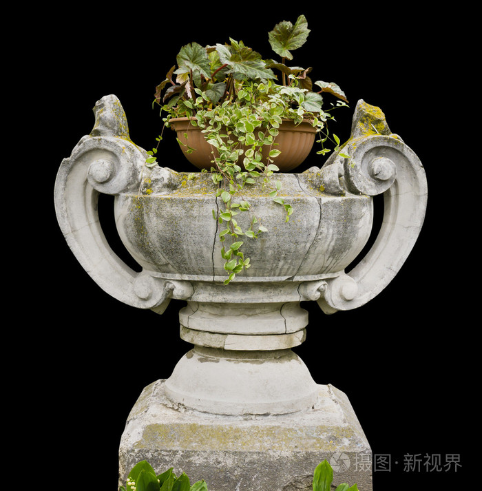 花园里有花的石花瓶照片 正版商用图片0cr4av 摄图新视界