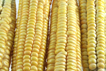 玉米背景