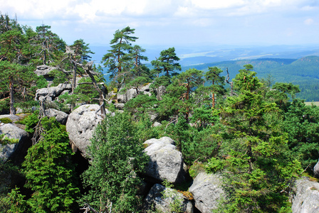苏台德地区图片