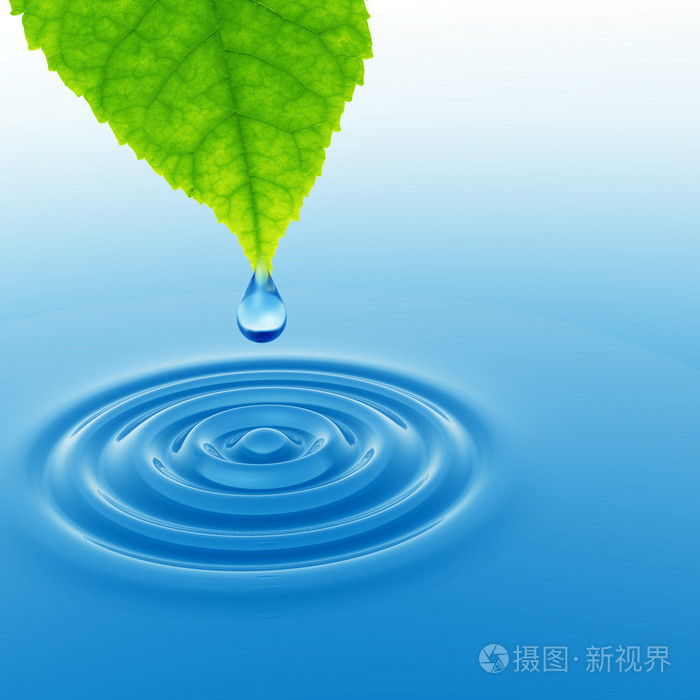 从一片绿色的叶子落下的水滴照片-正版商用图片0crix9-摄图新视界