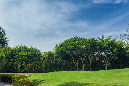 高尔夫球场在多米尼加共和国。茸茸的芳草和塞舌尔岛上椰林