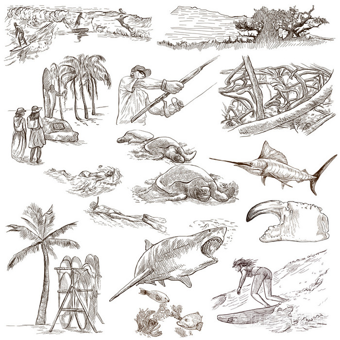 夏威夷-全尺寸手绘白色插图