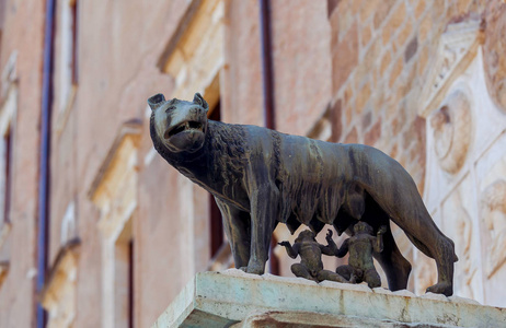 罗马.国会大厦狼照片