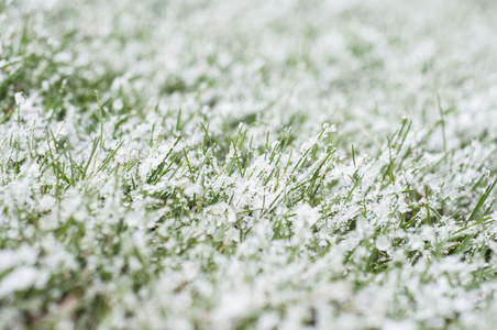 雪在草地上图片