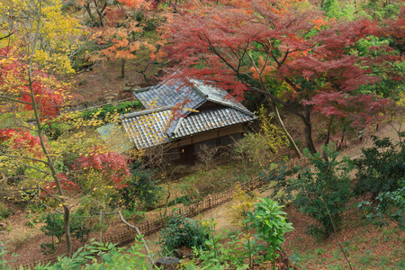 秋叶在日本横滨三溪园，横滨市神奈川县