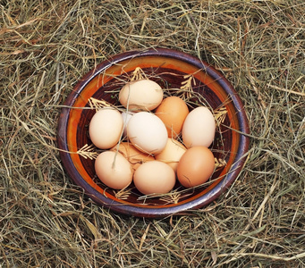 一碗鸡蛋放在干草上