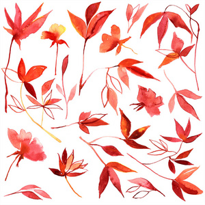 水彩手绘红色和橙色秋天的树叶
