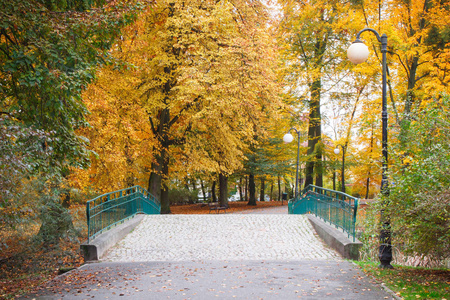 行人路和桥在秋天的公园里，黄色和橙色绿叶