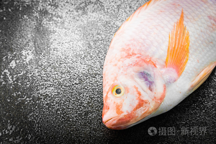 原始的罗非鱼新鲜的鱼