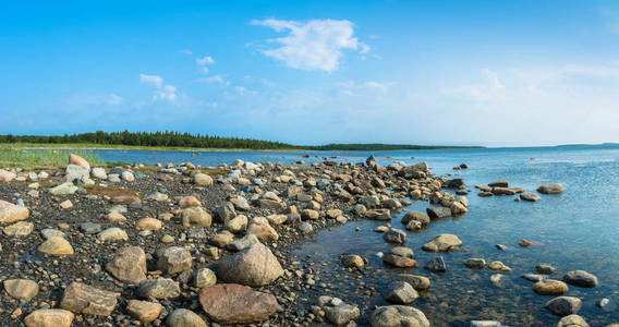 白海多岩石的海岸