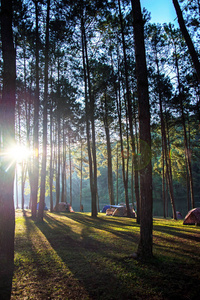 夏日营地: 摄影帐篷下的华美自然景观