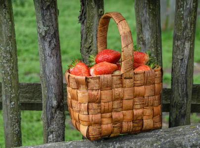 红草莓成熟在柳条篮子里