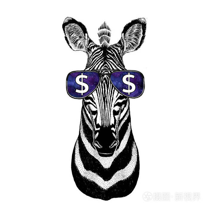 戴着眼镜美元符号的斑马马