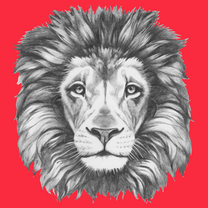 狮子的手画的肖像