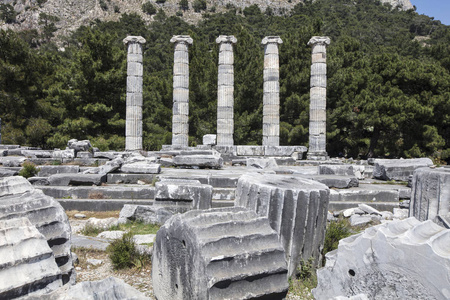 古市的 Priene，土耳其的废墟