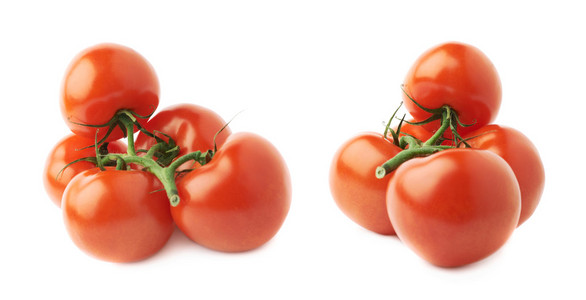 单茎的红番茄