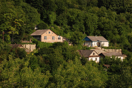 喀尔巴阡山和森林的富丽堂皇图片