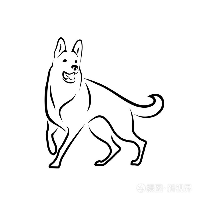 德国牧羊犬插画-正版商用图片0cu1de-摄图新视界