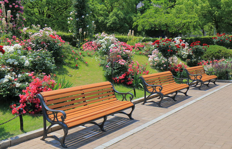 公园长椅上花花园照片