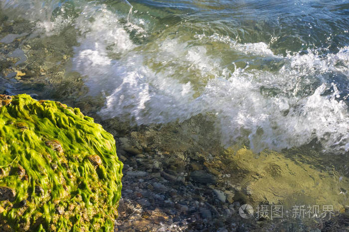 岩石海岸边与海藻 透明波浪与泡沫 在一个温暖的夏天天照片 正版商用图片0cufo4 摄图新视界