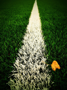 足球赛季结束。 干桦叶落在地上