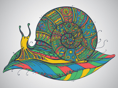 与很多细节的观赏蜗牛矢量图照片