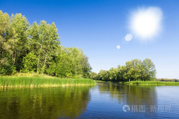 夏天风景与森林和湖