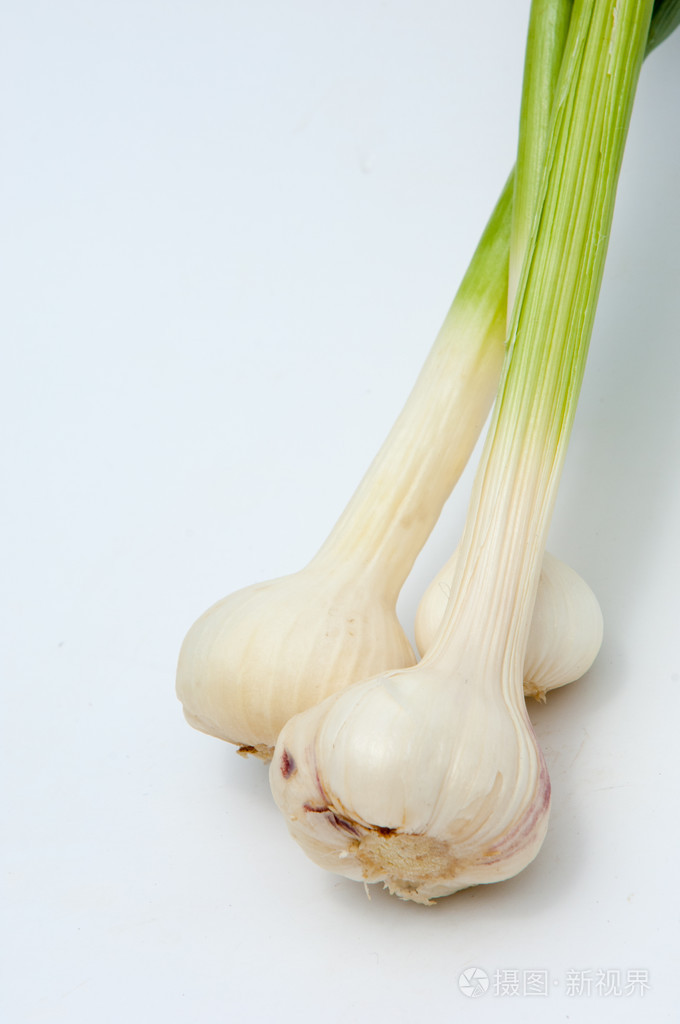 大蒜大蒜不是成熟的叶茎上强烈气味刺鼻味道灯泡用作调料在烹饪和草药