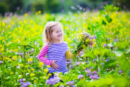 在田野里采野花的小女孩照片