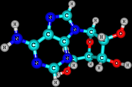 腺苷分子上黑色孤立照片