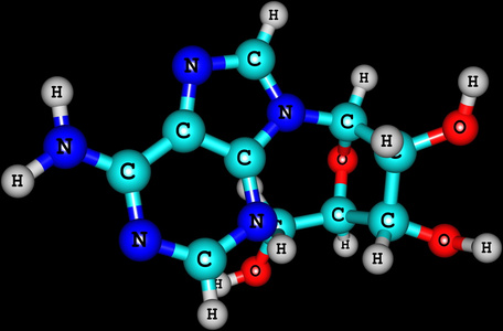 腺苷分子上黑色孤立图片