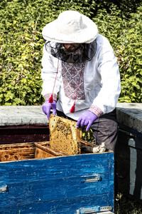 一个男人在养蜂场工作
