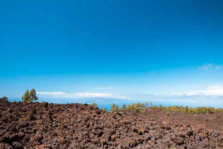 熔岩地貌泰德火山特内里费岛金丝雀