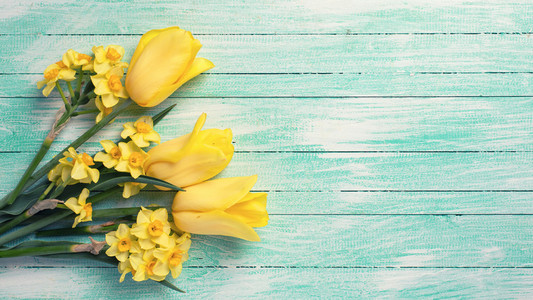 黄色的水仙花和郁金香花