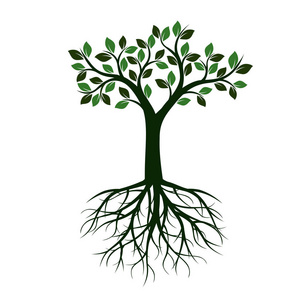 绿树与叶和根。矢量图