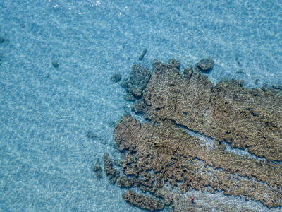 岩石上的海的鸟瞰图。以上，透明的水从海底的概述