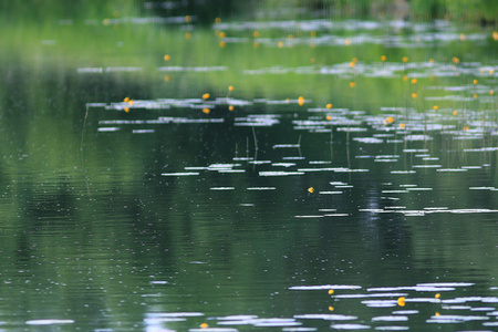 夏天风景与湖