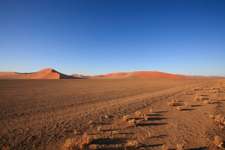 sossusvlei 沙丘