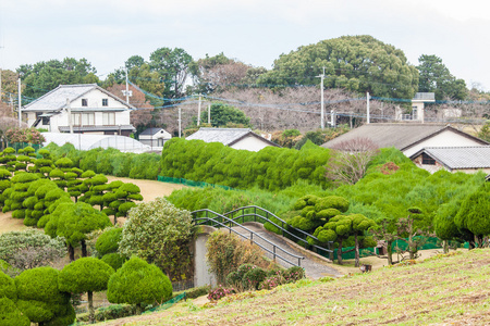 传统的日本民居