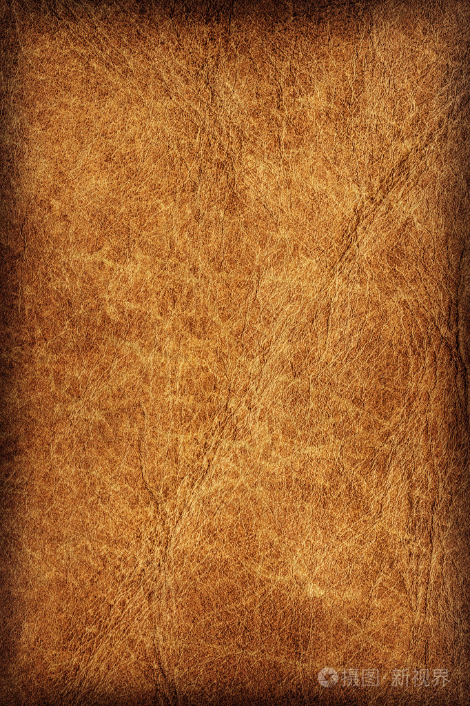 老牛皮皱皱巴巴的 grunge 纹理样本细节照片-正版商用
