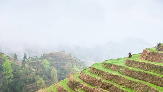 在小山上的梯田种植园视图上方