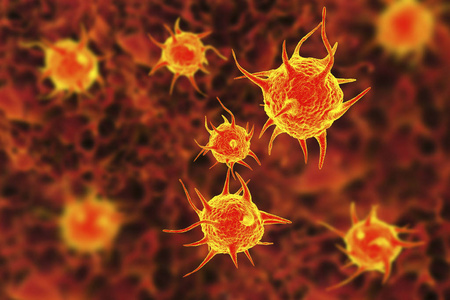 育雏的寄生虫图片