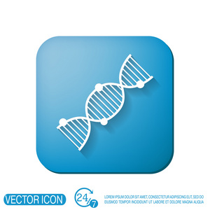 dna 螺旋结构。医学研究字符