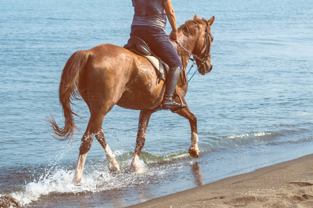 在海的骑马飞奔在阳光灿烂的日子